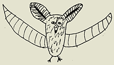 Flughund, Zeichnung: A. Hotze