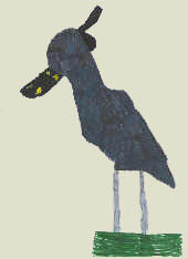 schuhschnabel.jpg (8395 Byte)