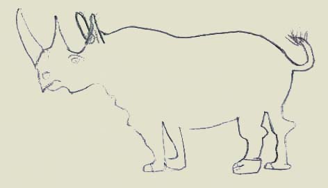 spitzmaulnashorn.jpg (13612 Byte)