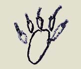 spurdachs.jpg (4552 Byte)