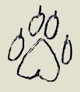 spurfuchs.jpg (5459 Byte)