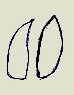 spurrothirsch.jpg (9226 Byte)