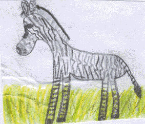 Zebra, Zeichnung: Johanna Hemmersbach