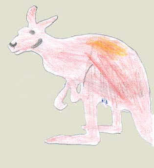 Rotes Riesenknguru, Zeichnung J.-M. Scholz